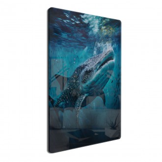 Akrylové sklo Podmorská scenéria Žralok veľrybí