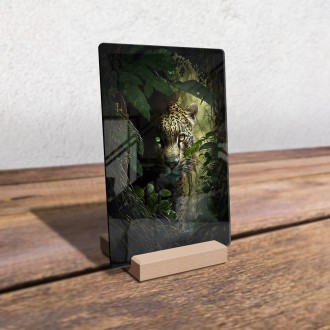 Akrylové sklo Jaguár v džungli