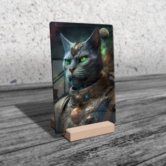 Akrylové sklo Mimozemská rasa - Mačka