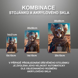 Akrylové sklo Mimozemská rasa - Lemur