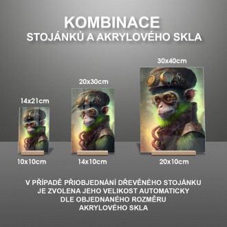 Akrylové sklo Steampunková opica 1