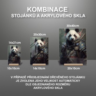 Akrylové sklo Bojovník panda