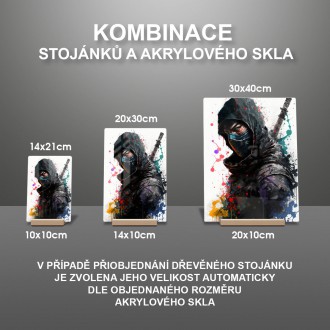 Akrylové sklo Moderné umenie - ninja 1