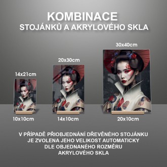 Akrylové sklo Moderná gejša 1