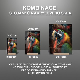 Akrylové sklo Papagáj pirát 2