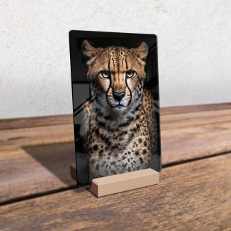 Akrylové sklo Samice geparda