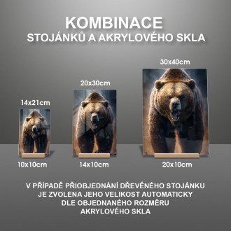 Akrylové sklo Veľký grizzly