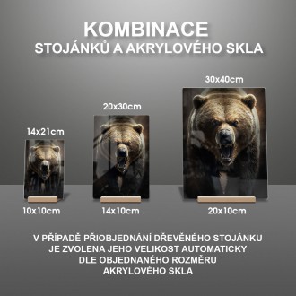 Akrylové sklo Strašný grizzly