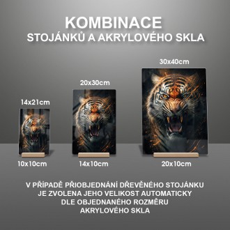 Akrylové sklo Rozzúrený tiger