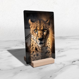 Akrylové sklo Gepard na love