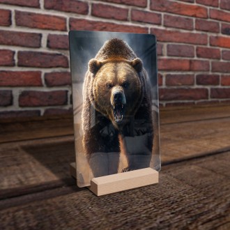 Akrylové sklo Veľký grizzly