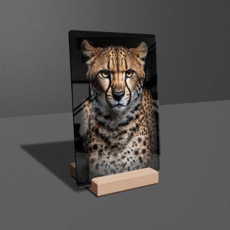 Akrylové sklo Samice geparda
