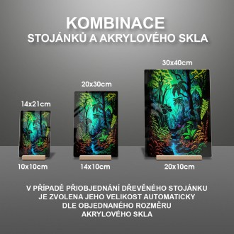 Akrylové sklo Čarovný prales