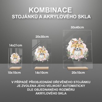 Spokojná líška