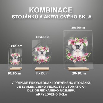 Koala v kvetoch