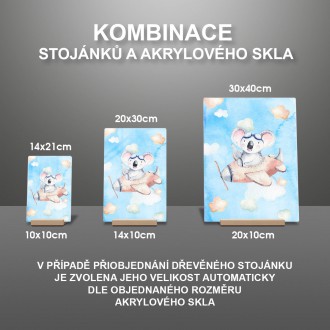 Koala a lietadielko