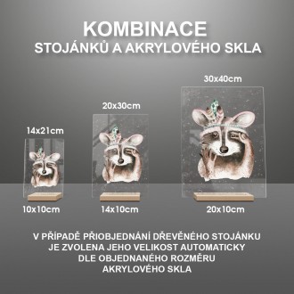Rozverný mýval