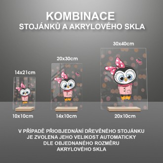 Tučniak a Motýľ