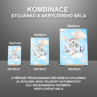 Medvedík a lietadielko