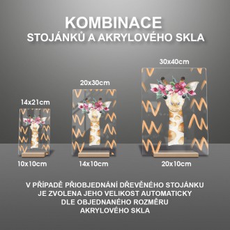 Roztomilá žirafa