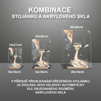 Malá žirafa s mamou