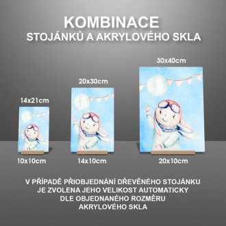 Chlapec s balónikom