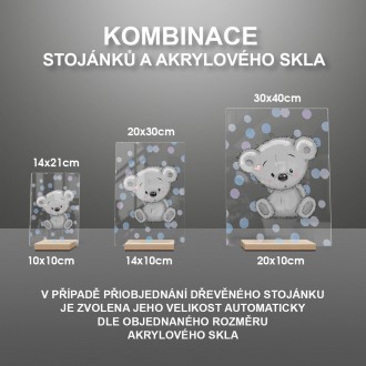 Sivý Medvedík