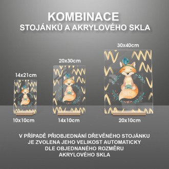 Líška indián