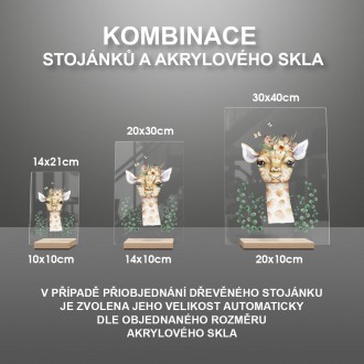 Zvedavá žirafa