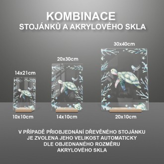 Korytnačka v mori