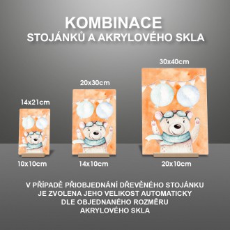 Medvedík s balónikmi