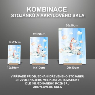 Žirafa a lietadielko