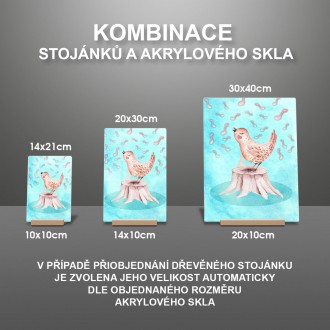 Notujúce vtáčik