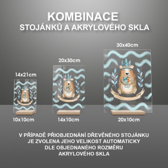 Medvedík indián