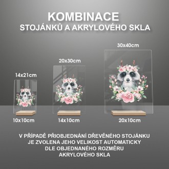 Mýval v kvetoch