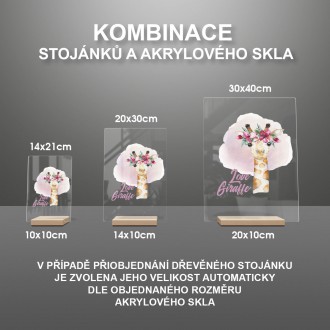 Žirafia láska