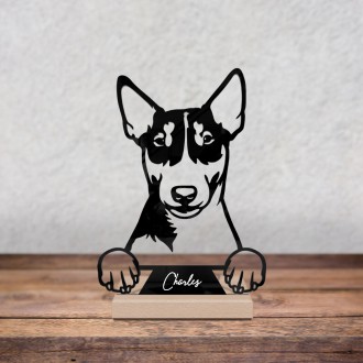 Mini Bull Terrier