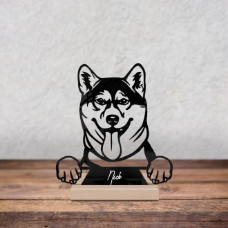 Shiba Inu