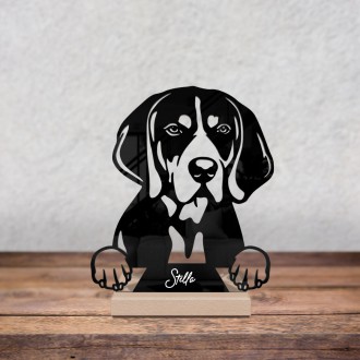 Coonhound Bluetick