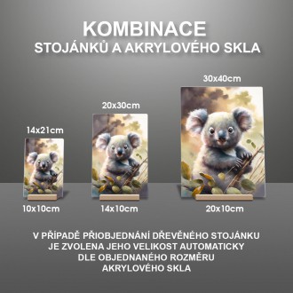 Akrylové sklo Akvarelová koala