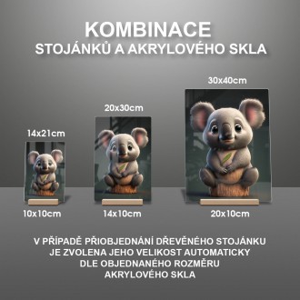 Akrylové sklo Animovaná koala