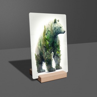 Akrylové sklo Prírodný medveď