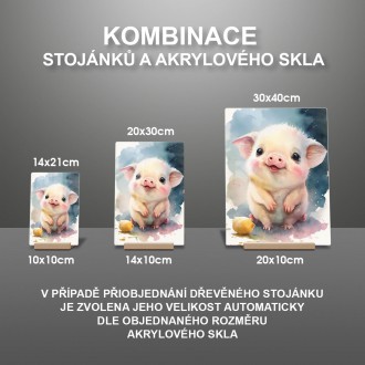 Akrylové sklo Akvarelové prasiatko