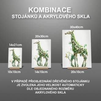 Akrylové sklo Prírodná žirafa