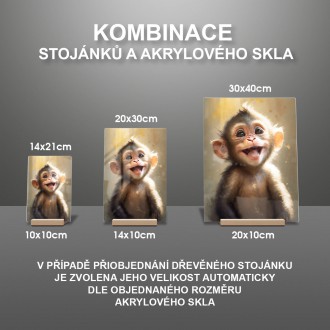 Akrylové sklo Akvarelová opica