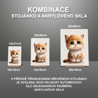 Akrylové sklo Malá mačka