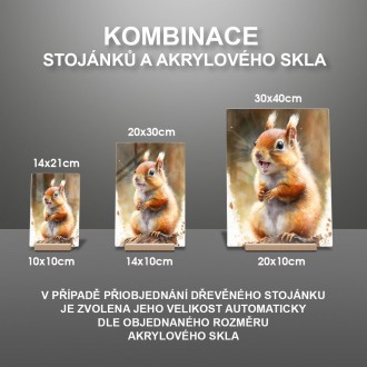 Akrylové sklo Akvarelová veverička