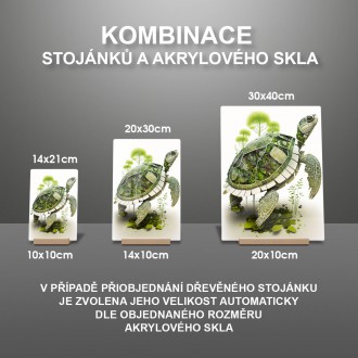 Akrylové sklo Prírodná korytnačka