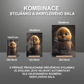 Akrylové sklo Animovaná kačička