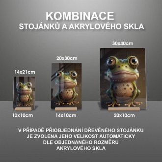 Akrylové sklo Animovaná žabka